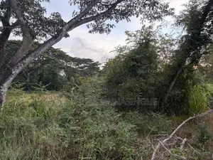 52 Perches Land For Sale In Hettipola Kuliyapitiya Main Road