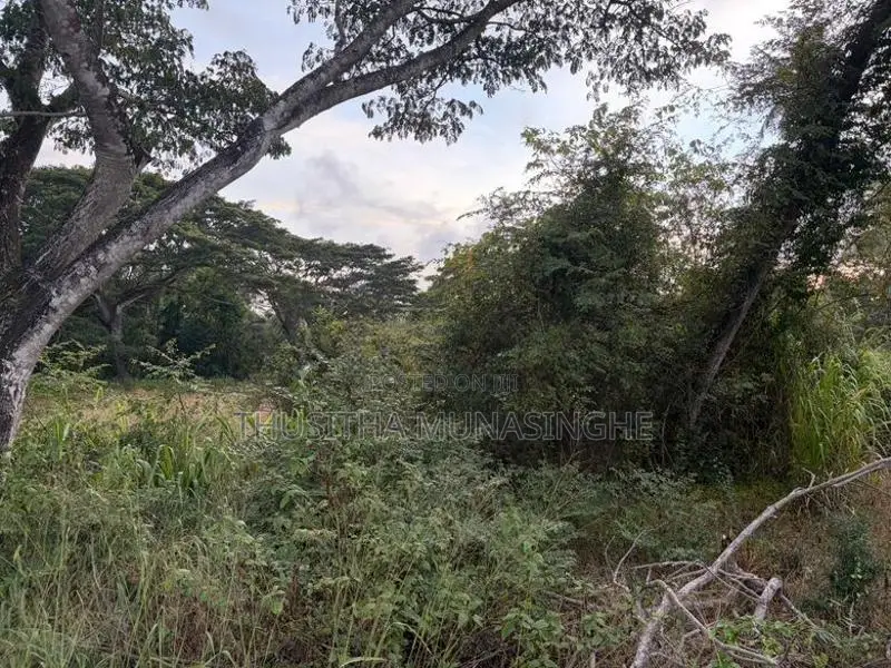 52 Perches Land For Sale In Hettipola Kuliyapitiya Main Road