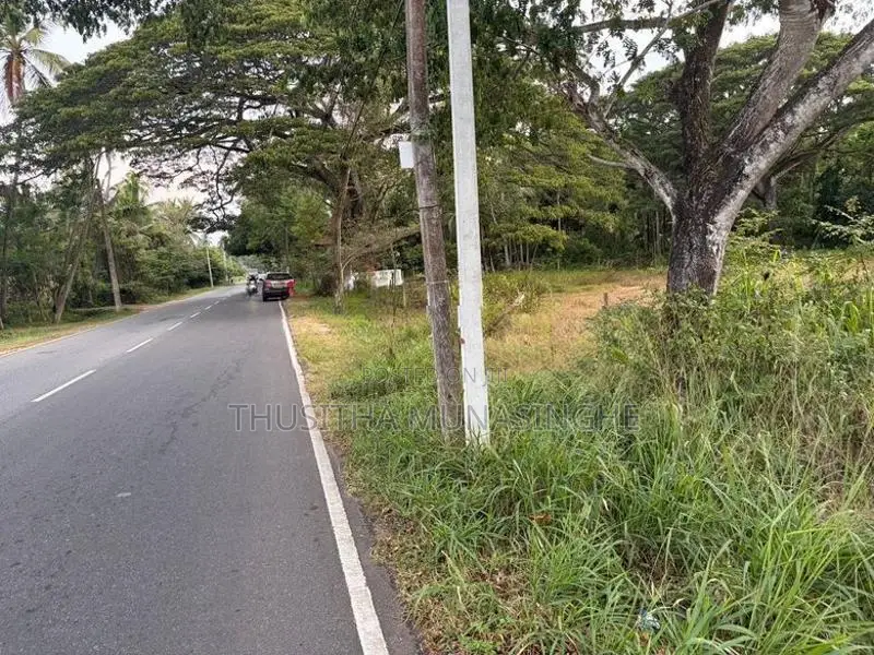 52 Perches Land For Sale In Hettipola Kuliyapitiya Main Road