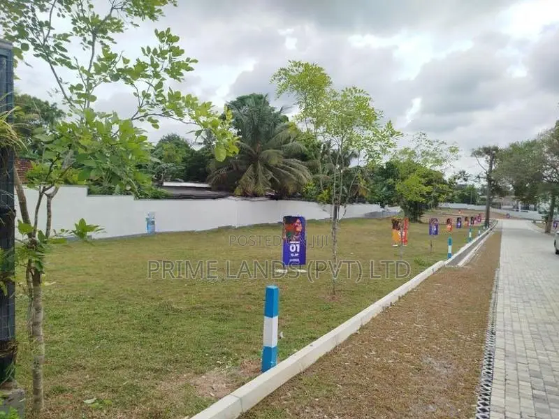 බොරලැස්ගමුව ගංගාරාම පාරෙන් බිම් කොටස් විකිණීමට