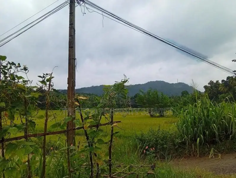 Land for Sale Narammala