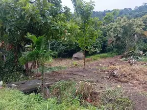Land for Sale Narammala