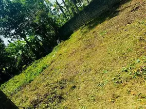 Land for sale in kandana / KM 16210