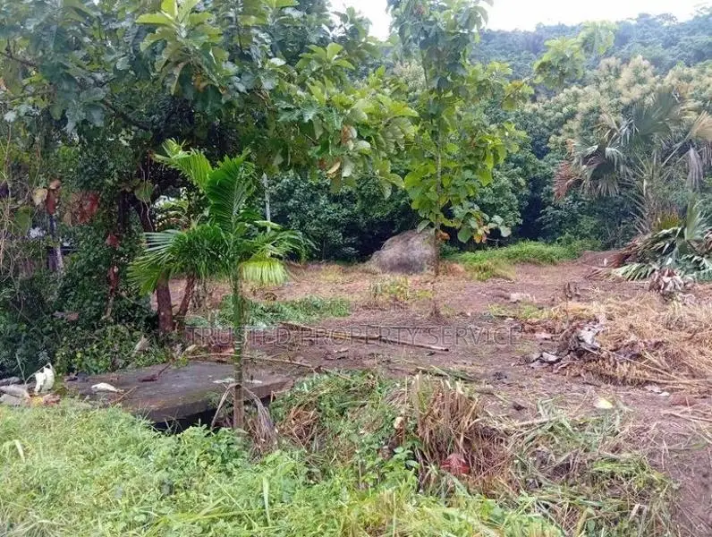 Land for Sale Narammala