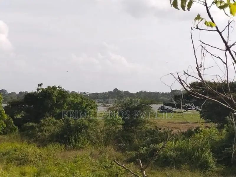 අනුරාධපුර පුත්තලම පාරට නුදුරින් මහබුලංකුලමෙන් සින්නක්කර බිම්කොටස්