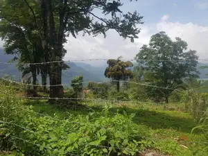 Land for Sale Nuwara Eliya