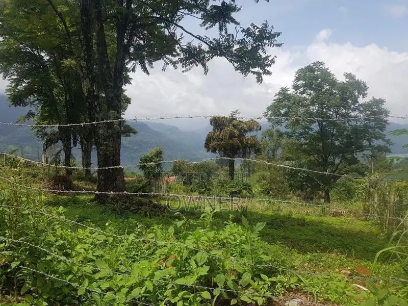 Land for Sale Nuwara Eliya