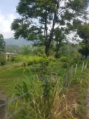 Land for Sale Nuwara Eliya