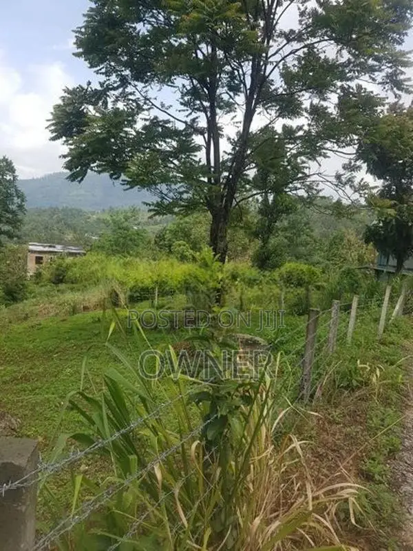 Land for Sale Nuwara Eliya