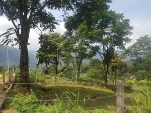 Land for Sale Nuwara Eliya