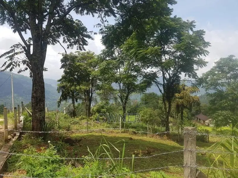 Land for Sale Nuwara Eliya