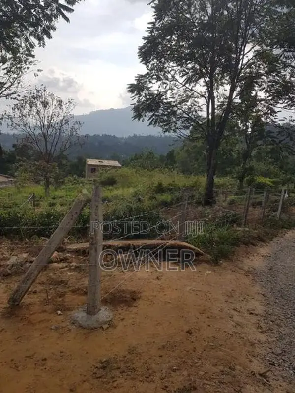 Land for Sale Nuwara Eliya