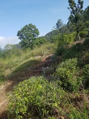 Land for Sale Nuwara Eliya
