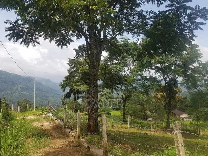 Land for Sale Nuwara Eliya