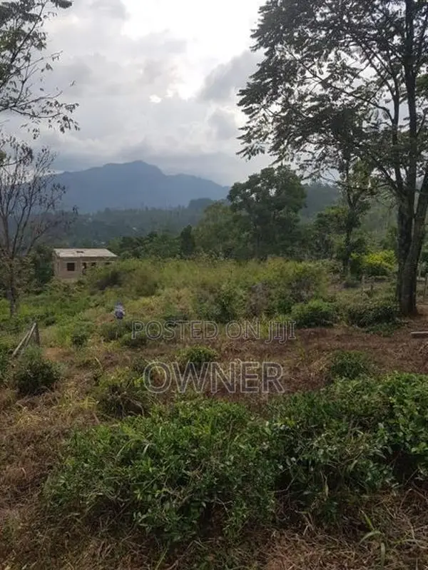 Land for Sale Nuwara Eliya