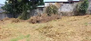 Land for Sale – Angoda