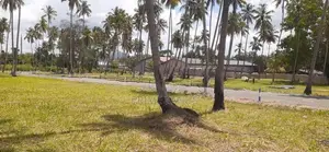කුරුණෑගලින් නේවාසික බිම් කොටස්