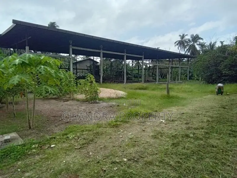 Commercial Property For Rent Uswetakeiyawa