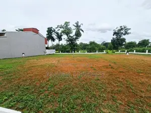 හබරකඩ, කුඹුරු යායකට මුහුණලා පිහිටි ඉඩමක් විකිණීමට. (ID : HBRK005S)