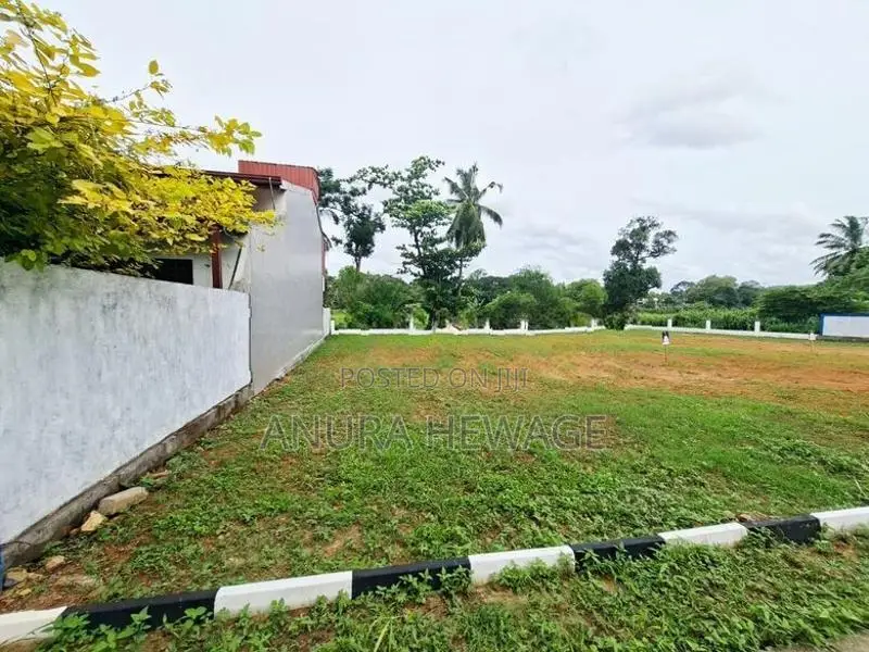 හබරකඩ, කුඹුරු යායකට මුහුණලා පිහිටි ඉඩමක් විකිණීමට. (ID : HBRK006S)