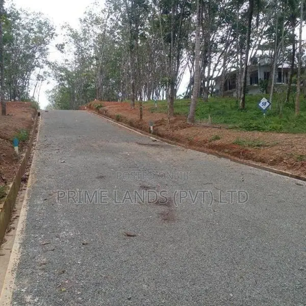 අහංගම පංචාලිය ප්‍රදේශයෙන් අගනා බිම් කොටස්