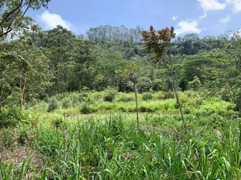 Beautiful Land for Sale Pussellawa