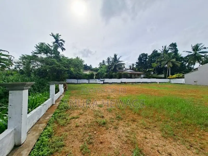 හබරකඩ, කුඹුරු යායකට මුහුණලා පිහිටි ඉඩමක් විකිණීමට. (ID : HBRK006S)