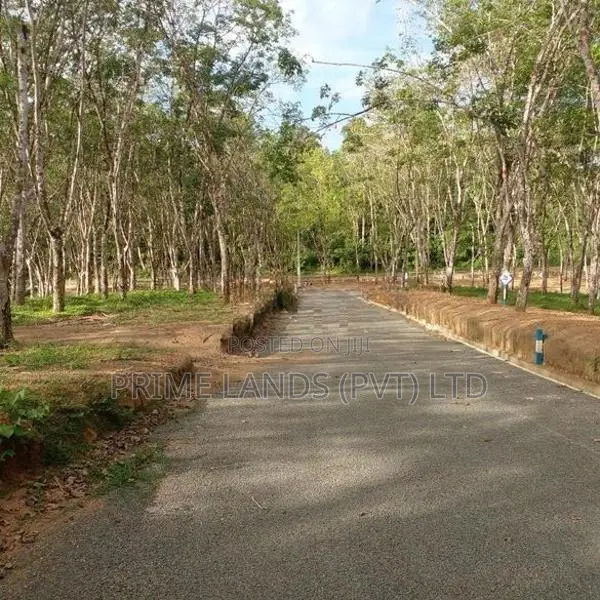 අහංගම පංචාලිය ප්‍රදේශයෙන් අගනා බිම් කොටස්