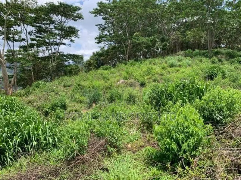 Beautiful Land for Sale Pussellawa