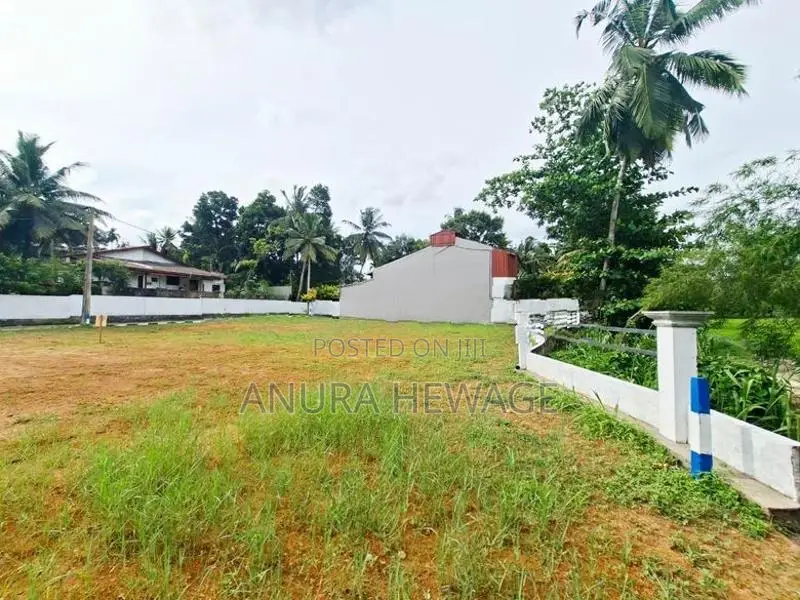 හබරකඩ, කුඹුරු යායකට මුහුණලා පිහිටි ඉඩමක් විකිණීමට. (ID : HBRK005S)