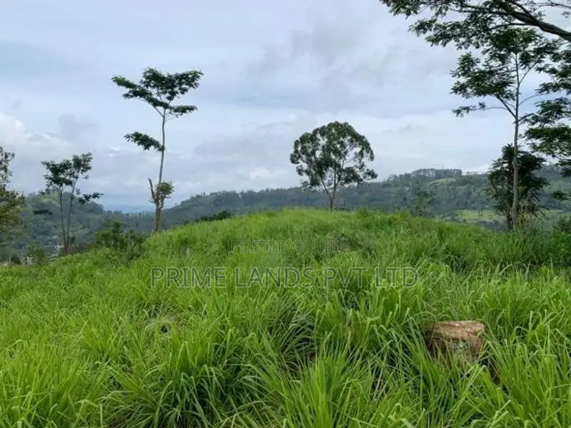 Beautiful Land for Sale Pussellawa