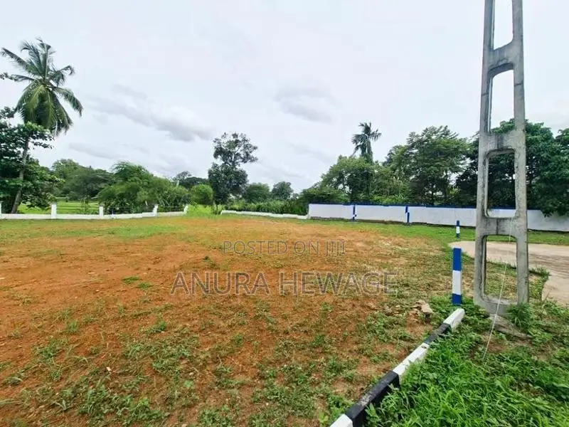 හබරකඩ, කුඹුරු යායකට මුහුණලා පිහිටි ඉඩමක් විකිණීමට. (ID : HBRK005S)