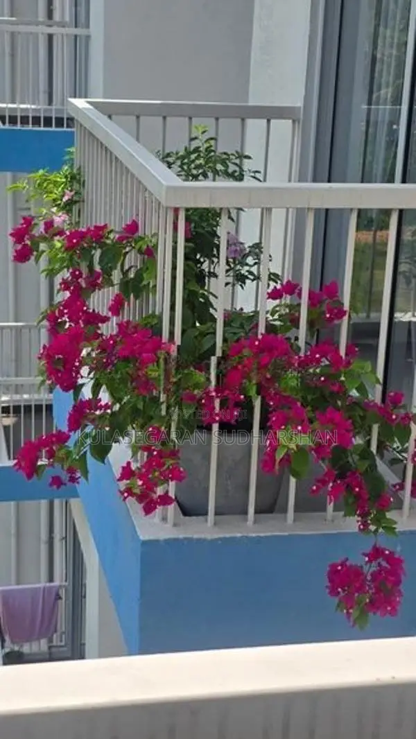 New Apartment for Sale in Katunayake Negombo