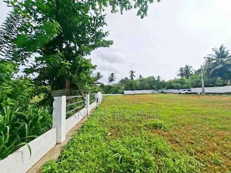 හබරකඩ, කුඹුරු යායකට මුහුණලා පිහිටි ඉඩමක් විකිණීමට. (ID : HBRK006S)