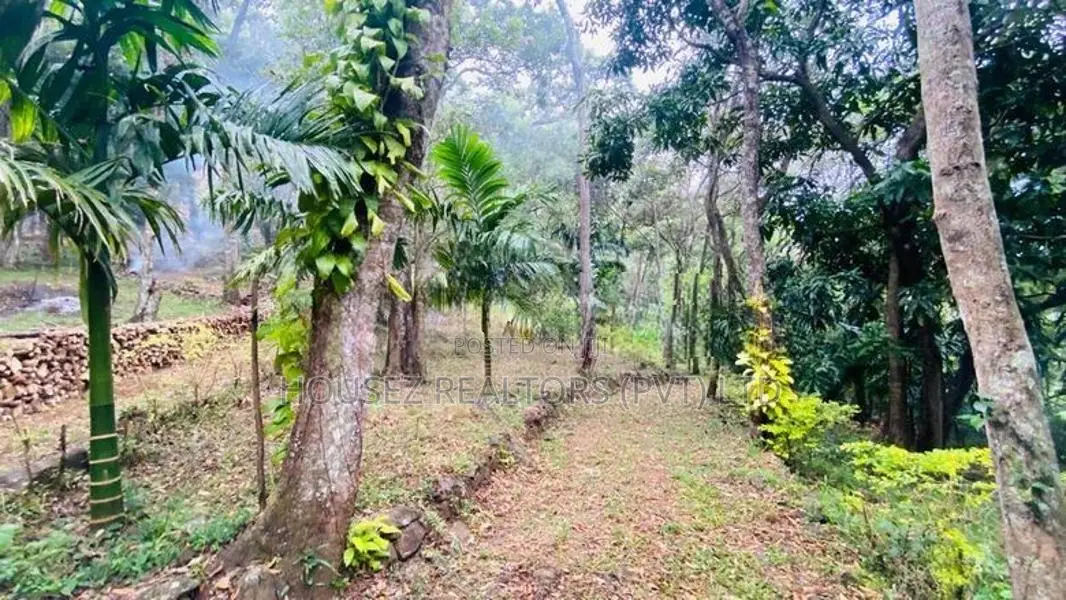 Cabana with Camping Site for Sale – Belihuloya