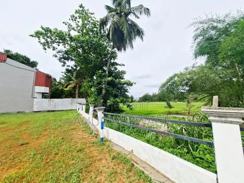 හබරකඩ, කුඹුරු යායකට මුහුණලා පිහිටි ඉඩමක් විකිණීමට. (ID : HBRK005S)