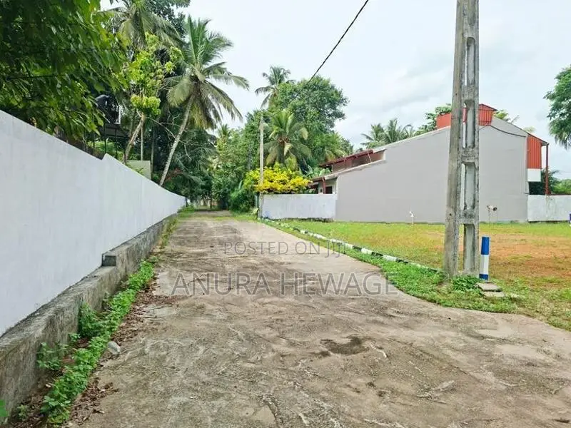 හබරකඩ, කුඹුරු යායකට මුහුණලා පිහිටි ඉඩමක් විකිණීමට. (ID : HBRK006S)