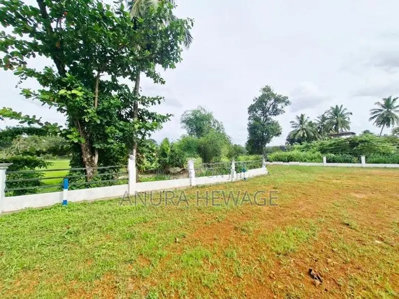 හබරකඩ, කුඹුරු යායකට මුහුණලා පිහිටි ඉඩමක් විකිණීමට. (ID : HBRK005S)