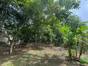 15 Perches Land for Sale Hanwella