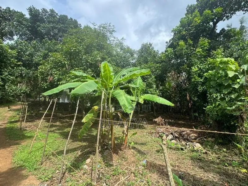 15 Perches Land for Sale Hanwella