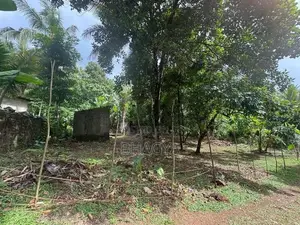 15 Perches Land for Sale Hanwella