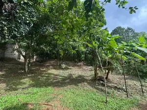 15 Perches Land for Sale Hanwella