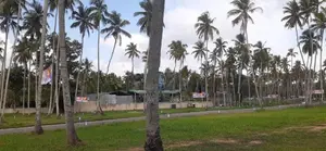 Land for Sale in Kurunegala City