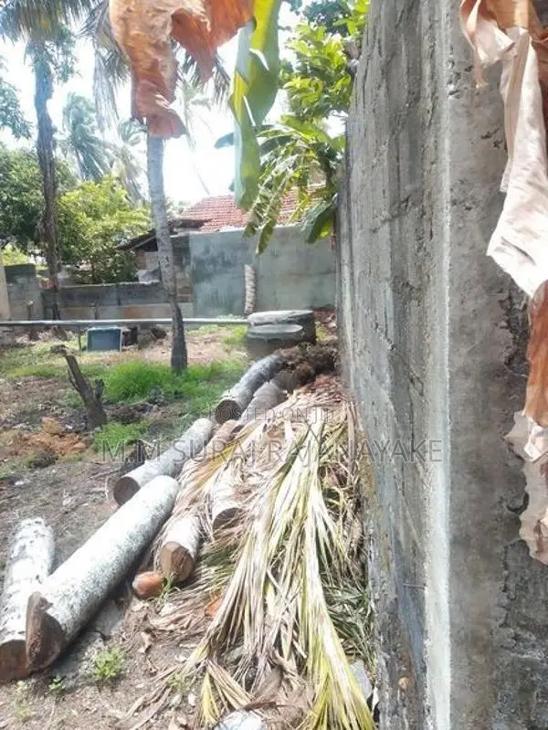ඇනෙක්සියක් සමග ඉඩමක් විකිණීමට ඇත