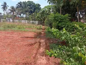 Land for Sale in புன்னாலைக்கட்டுவன்