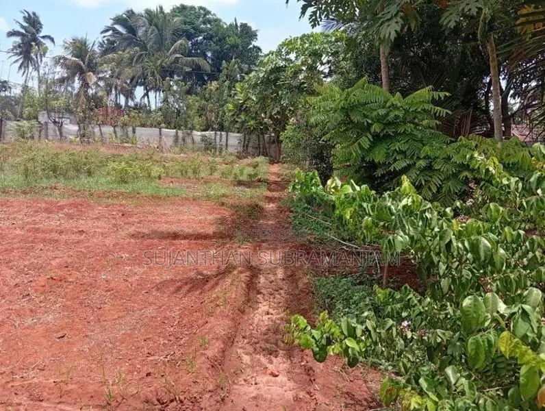 Land for Sale in புன்னாலைக்கட்டுவன்
