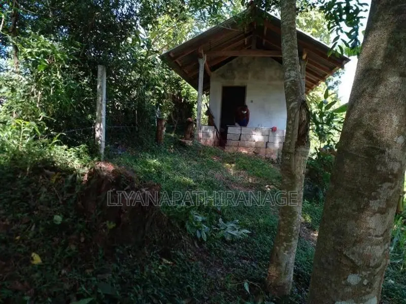 Land for Sale Near Yudaganawa Rajamaha Viharaya Buttala