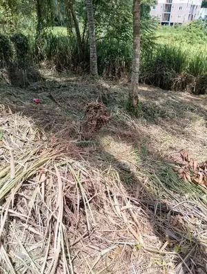 🏜️ පර්චස් 15ක වටිනා බිම් කොටසක් අතුරුගිරියෙන් විකිනීමට