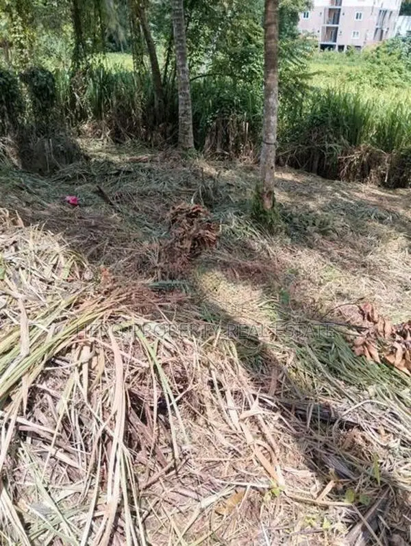 🏜️ පර්චස් 15ක වටිනා බිම් කොටසක් අතුරුගිරියෙන් විකිනීමට