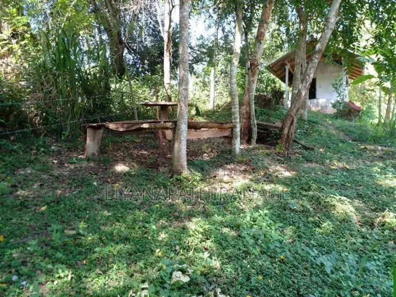 Land for Sale Near Yudaganawa Rajamaha Viharaya Buttala